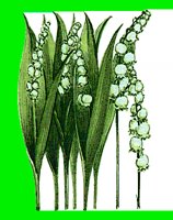 FL084.LBM