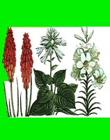 FL083.LBM