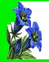 FL064.LBM