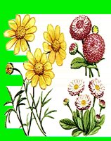 FL049.LBM