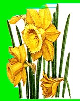 FL047.LBM