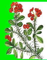 FL045.LBM