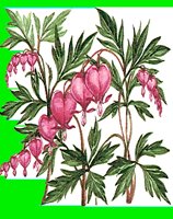 FL024.LBM