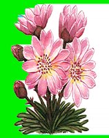 FL023.LBM