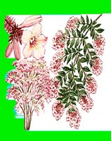 FL015.LBM
