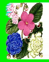 FL001.LBM