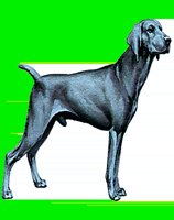 D122.LBM