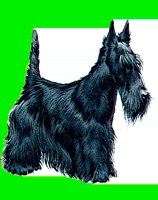 D110.LBM