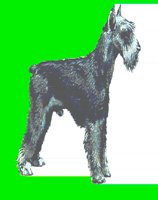 D108C.LBM