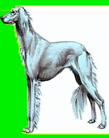 D105.LBM