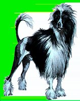 D099.LBM