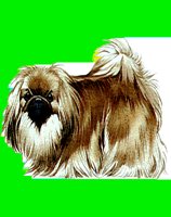 D092.LBM