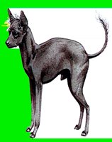 D083.LBM