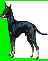 D081.LBM
