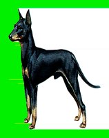 D080.LBM