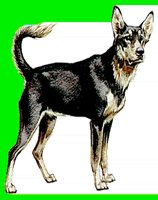 D072.LBM