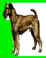 D066.LBM