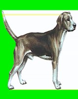 D064.LBM