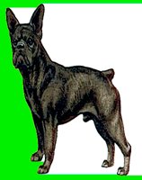 D055.LBM