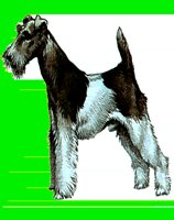 D054.LBM