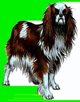 D051.LBM