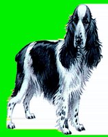 D047.LBM