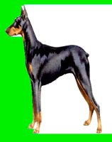 D046.LBM