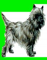 D034.LBM