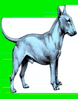 D032.LBM