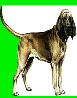 D021.LBM