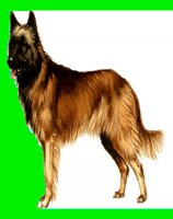 D017.LBM