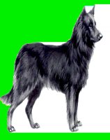D016.LBM
