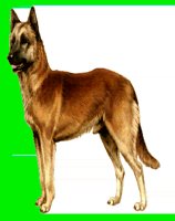 D015.LBM