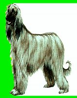 D002.LBM