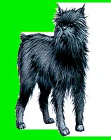 D001.LBM