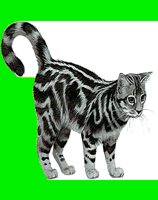 C02.LBM