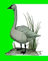 B122.LBM