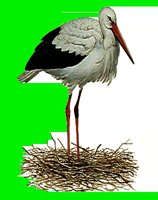 B121.LBM
