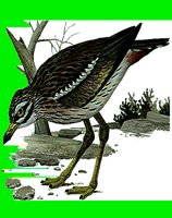 B120.LBM