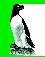 B004.LBM