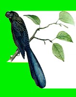 B001.LBM