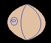RUGBYBALL2.BRUSH.iff