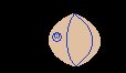 RUGBYBALL1.BRUSH.iff