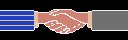 HANDSHAKE.BRUSH.iff