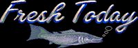 FRESHFISH.BRUSH.iff
