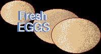 FRESHEGGS.BRUSH.iff