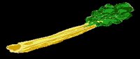 CELERY.BRUSH.iff