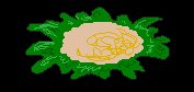 CAULIFLOWER.BRUSH.iff