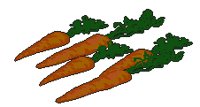 CARROTS1.BRUSH.iff
