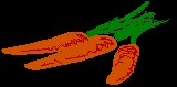 CARROTS.BRUSH.iff